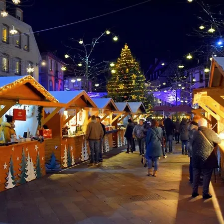 Lejlighed Elegant Duplex Historique Alsacien