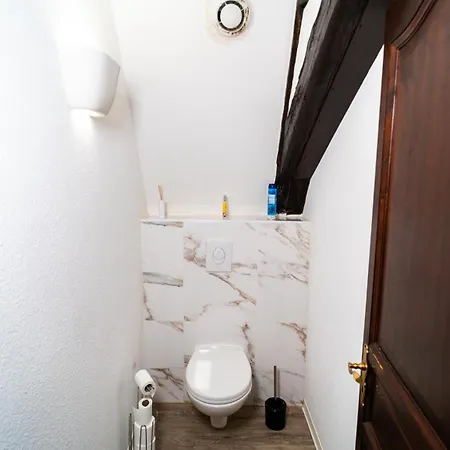 Lejlighed Elegant Duplex Historique Alsacien Haguenau