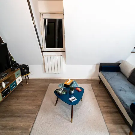 Elegant Duplex Historique Alsacien