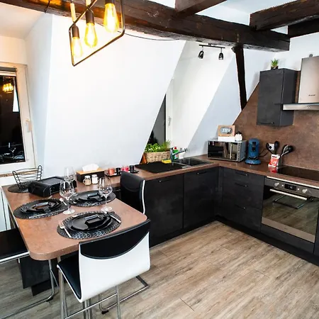 Elegant Duplex Historique Alsacien Lejlighed Haguenau
