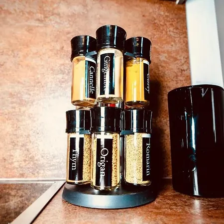 Lejlighed Elegant Duplex Historique Alsacien Haguenau