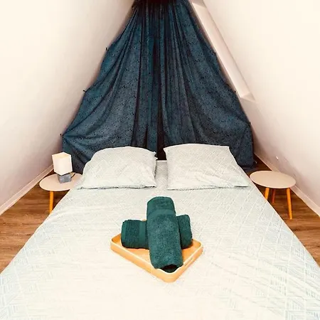 Elegant Duplex Historique Alsacien