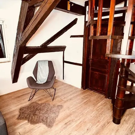 Elegant Duplex Historique Alsacien *