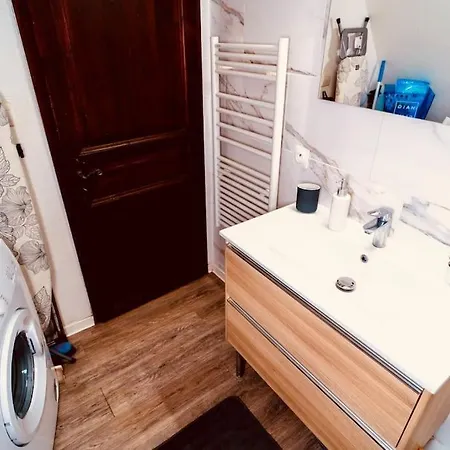 Elegant Duplex Historique Alsacien