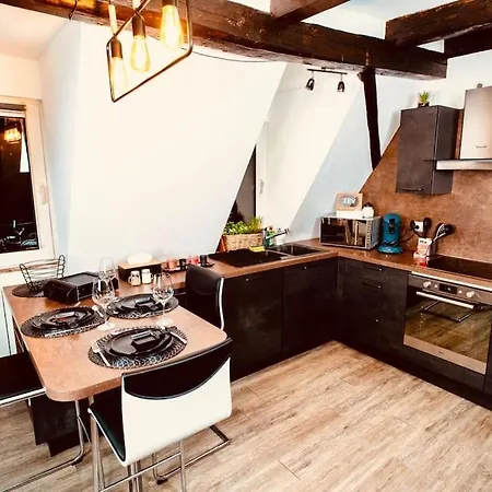 Elegant Duplex Historique Alsacien Apartment *