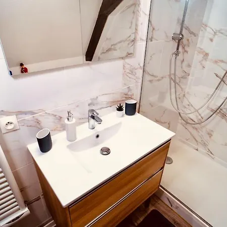 Elegant Duplex Historique Alsacien Lejlighed