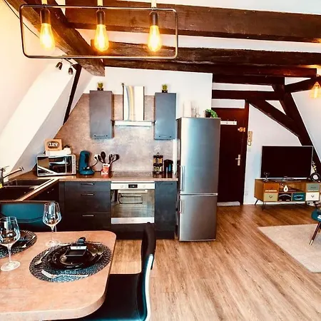 Lejlighed Elegant Duplex Historique Alsacien