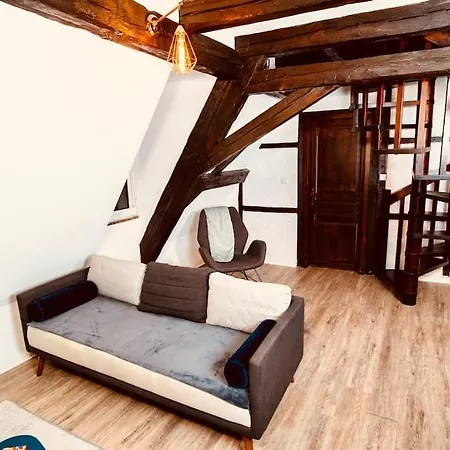 Elegant Duplex Historique Alsacien * Haguenau