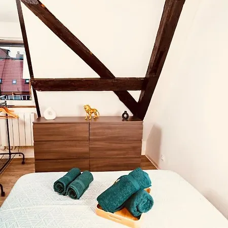 Elegant Duplex Historique Alsacien Lejlighed *