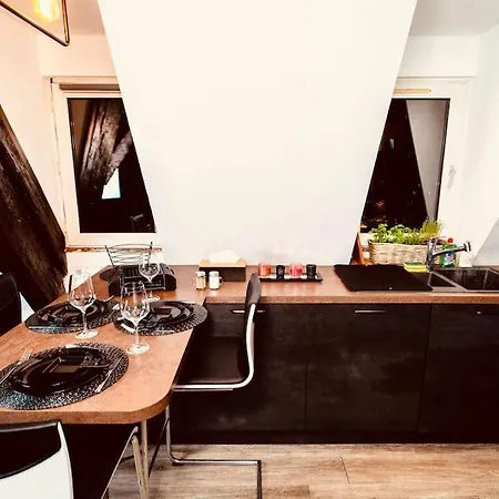 Elegant Duplex Historique Alsacien