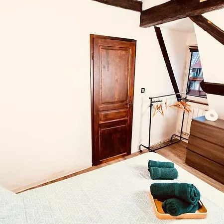 Elegant Duplex Historique Alsacien Apartment Haguenau