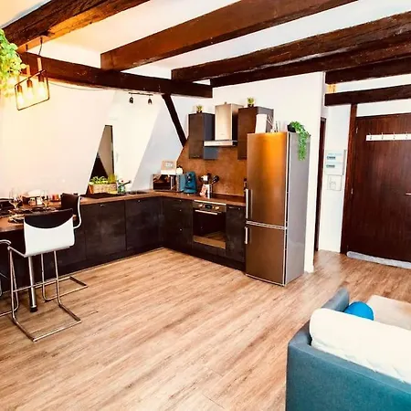 Elegant Duplex Historique Alsacien *