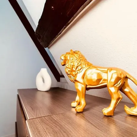 Elegant Duplex Historique Alsacien Haguenau