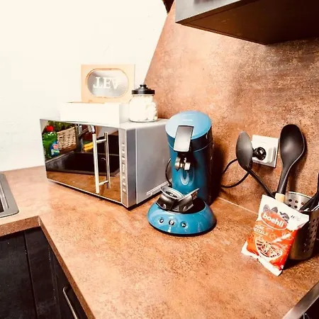 Elegant Duplex Historique Alsacien