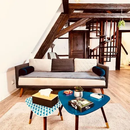 Lejlighed Elegant Duplex Historique Alsacien