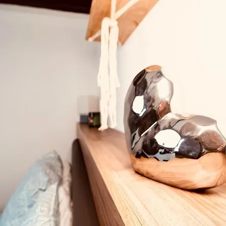 Elegant Duplex Historique Alsacien *