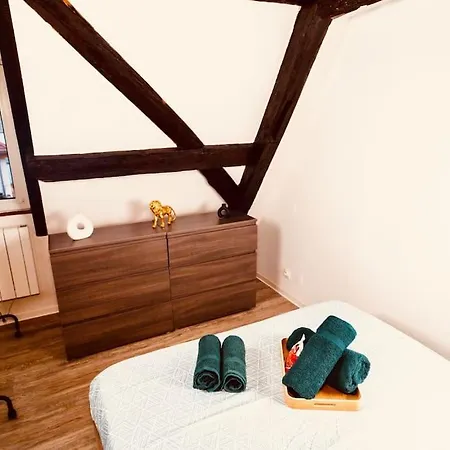 Lejlighed Elegant Duplex Historique Alsacien *