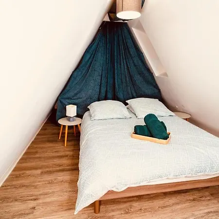 Elegant Duplex Historique Alsacien