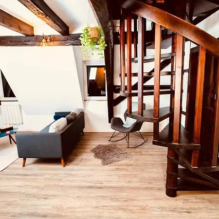 Elegant Duplex Historique Alsacien Apartment