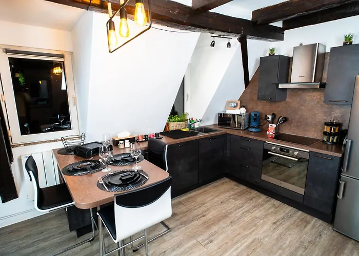 Elegant Duplex Historique Alsacien Apartment Hagenau