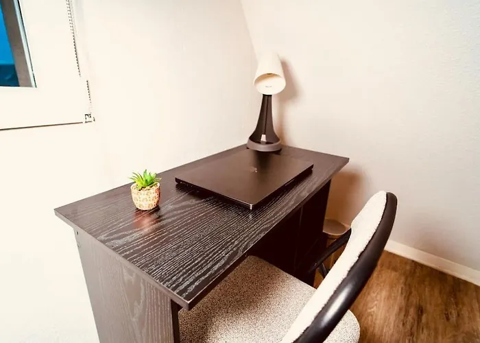Elegant Duplex Historique Alsacien *
