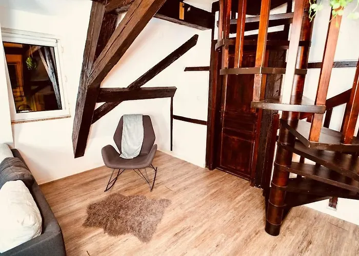 Elegant Duplex Historique Alsacien *