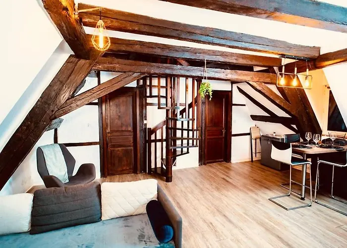 Elegant Duplex Historique Alsacien Hagenau