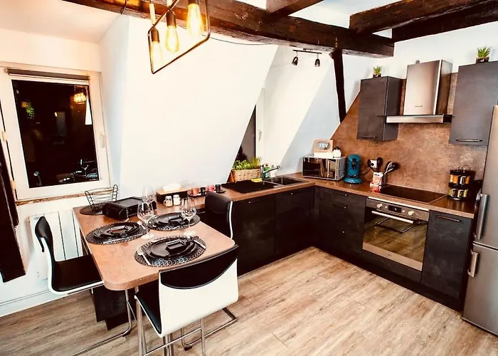 Elegant Duplex Historique Alsacien Apartment *