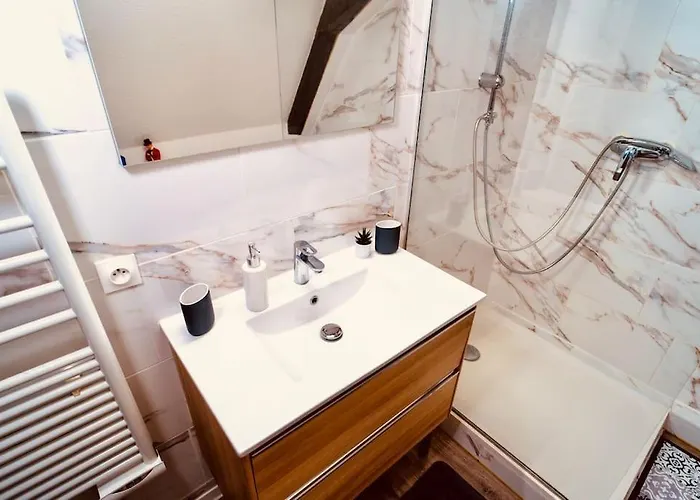 Elegant Duplex Historique Alsacien Apartment