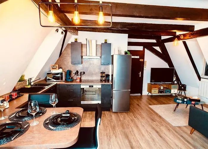 Apartment Elegant Duplex Historique Alsacien