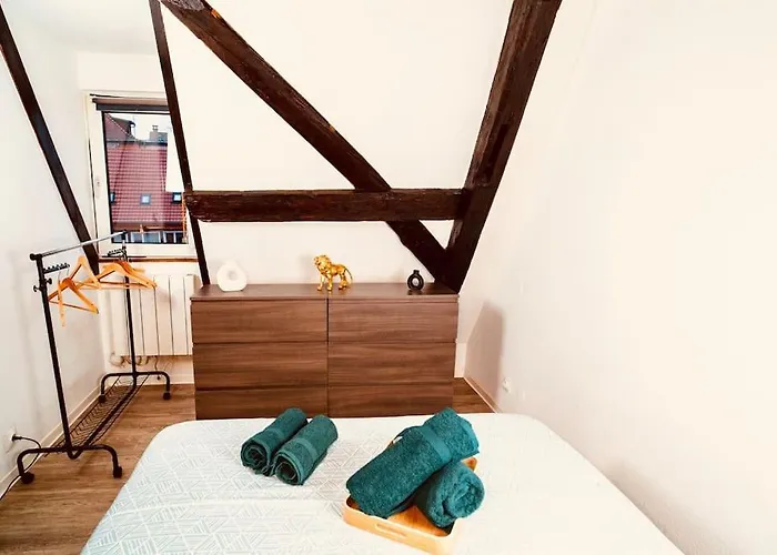 Elegant Duplex Historique Alsacien Apartment *