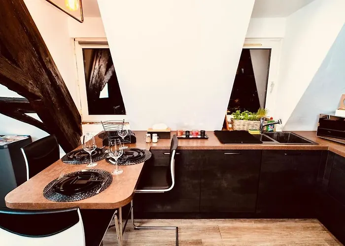 Elegant Duplex Historique Alsacien