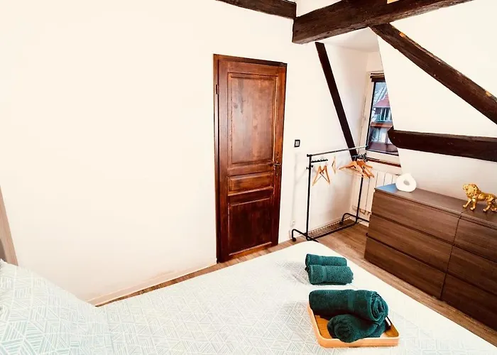 Elegant Duplex Historique Alsacien Apartment Hagenau