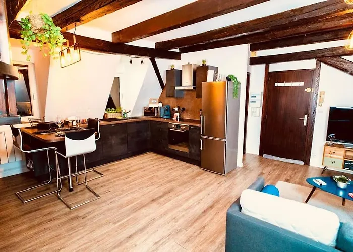Elegant Duplex Historique Alsacien *