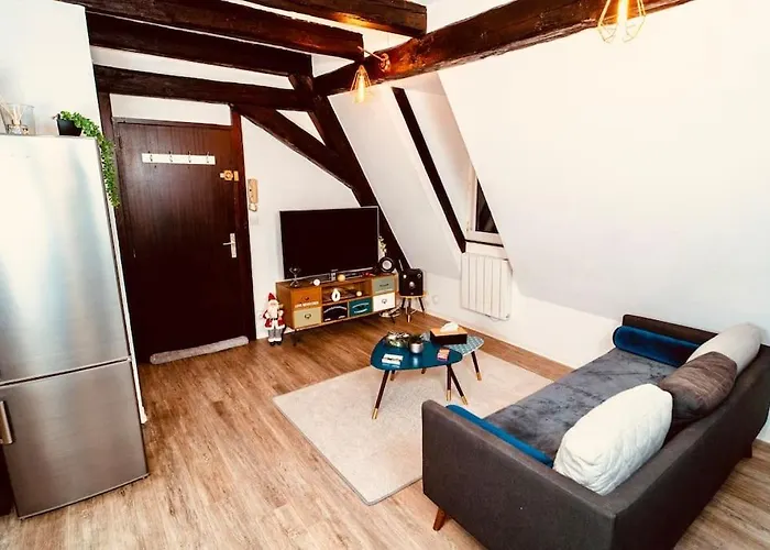 Elegant Duplex Historique Alsacien Apartment Hagenau