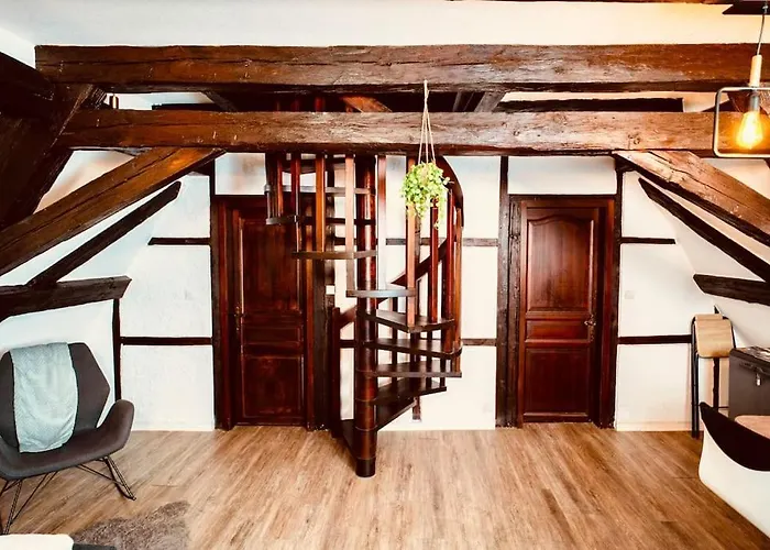 Elegant Duplex Historique Alsacien