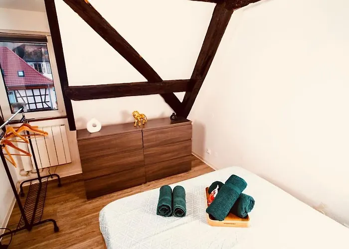 Apartment Elegant Duplex Historique Alsacien *