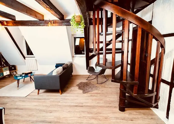 Elegant Duplex Historique Alsacien Apartment